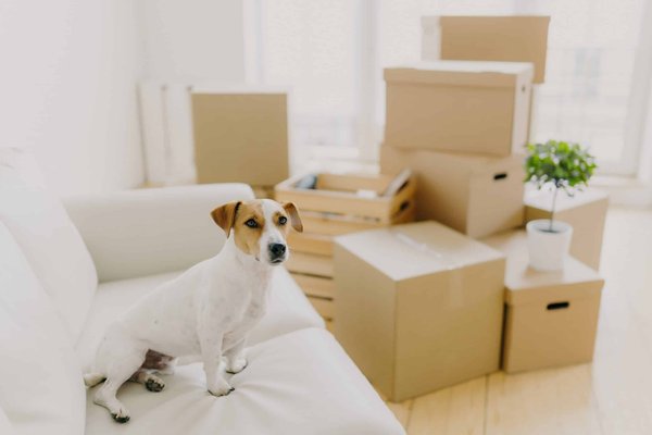 Quels types de tissus privilégier pour une tenue confortable lors de longues heures de vol ?